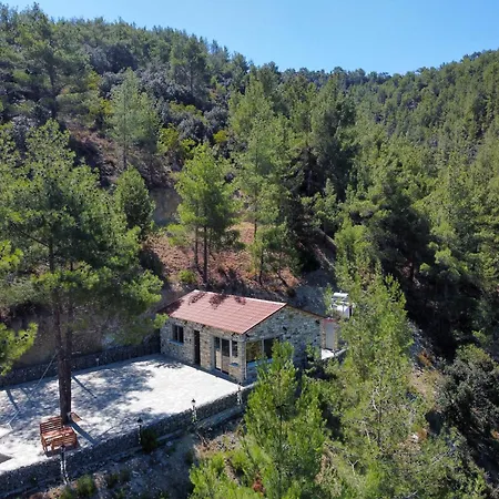 Phaedrus Living Palaiomylos Forest *